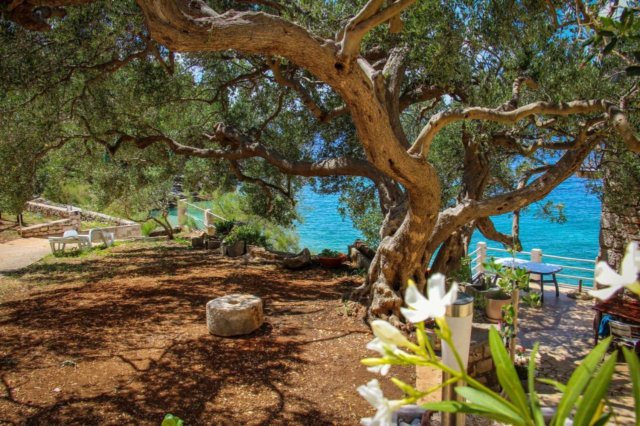 Jedra Beach Hvar